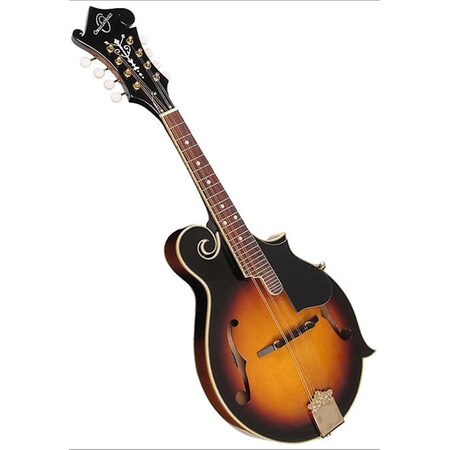 Oscar Schmidt FW Mandolin with TS-F Style OM40-A-U